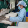 TRÁNG BÁNH ĐẢM BẢO VỆ SINH ATTP