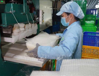 TRÁNG BÁNH ĐẢM BẢO VỆ SINH ATTP
