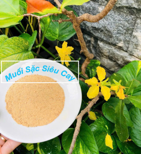 Muối chay sặc siêu cay  - Độc quyền Quốc Bảo